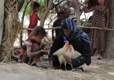 ارتفاع سوء التغذية في 133 مديرية