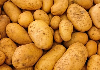 البطاطس تمنع تكوّن الخلايا السرطانية في جسم الإنسان