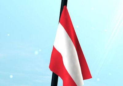  &rlm;المستشار النمساوي عن إطلاق النار في فيينا: هجوم إرهابي