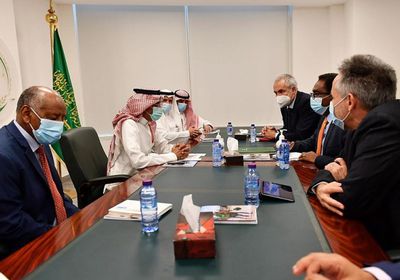 "سلمان للإغاثة" و"الفاو" يوحدان جهود مكافحة الجراد باليمن