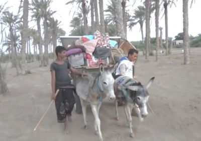اعتداءات الحوثي تدفع عائلات الفازة إلى النزوح (فيديو)