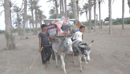 اعتداءات الحوثي تدفع عائلات الفازة إلى النزوح (فيديو)