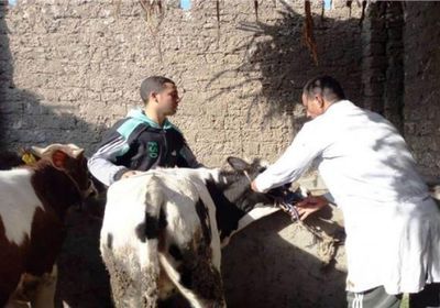 "الصليب الأحمر" يعلن انتهاء حملة تحصين الماشية
