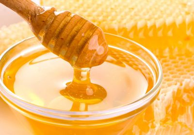 فوائد عسل السدر الجبلي على صحة الإنسان