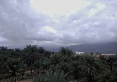 تنبيهات بأمطار على الجنوب خلال الساعات المقبلة