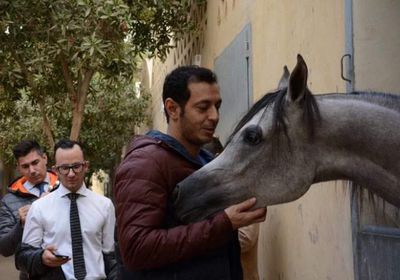 مصطفى شعبان مع حصانه المفضل "هيفين" في أحدث ظهور له