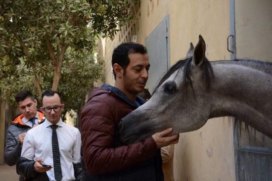 مصطفى شعبان مع حصانه المفضل "هيفين" في أحدث ظهور له