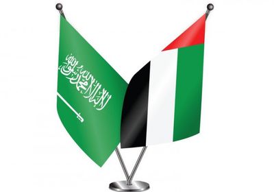   الإمارات والسعودية تبحثان الاستحواذ على شركة أمون المصرية للأدوية