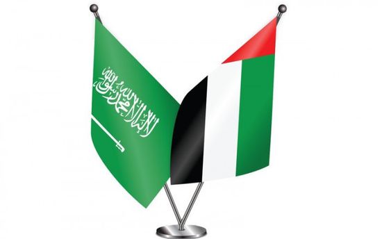   الإمارات والسعودية تبحثان الاستحواذ على شركة أمون المصرية للأدوية