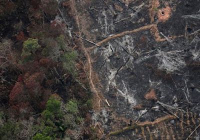 إزالة الغابات في الأمازون بالبرازيل يقفز لأعلى مستوى