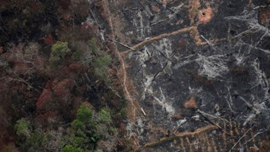 إزالة الغابات في الأمازون بالبرازيل يقفز لأعلى مستوى