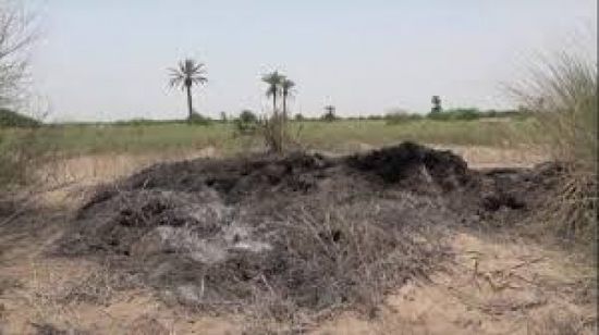  الإرهاب الحوثي على القطاع الزراعي.. إحراق للرقعة الخضراء وتأزيم لحياة السكان