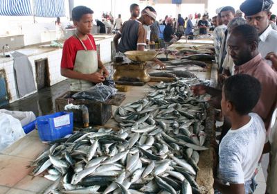 لضبط الأسعار.. تخصيص كميات من الأسماك للسوق المحلية بالمكلا