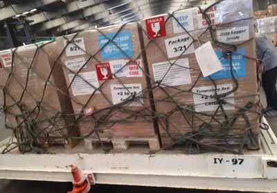 شحنة أدوية لمكافحة الملاريا في اليمن