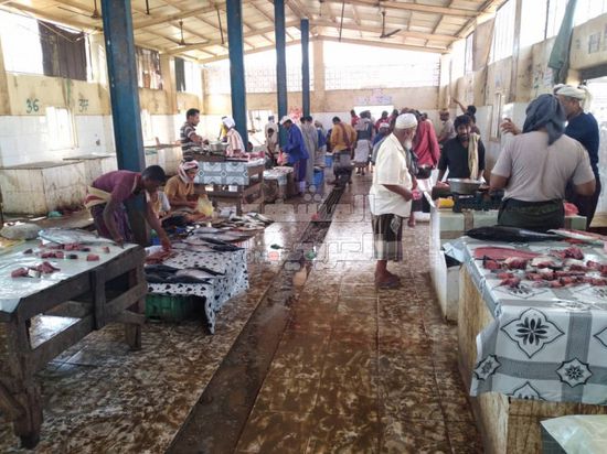 موجة استقرار بأسعار الأسماك في أبين (صور)