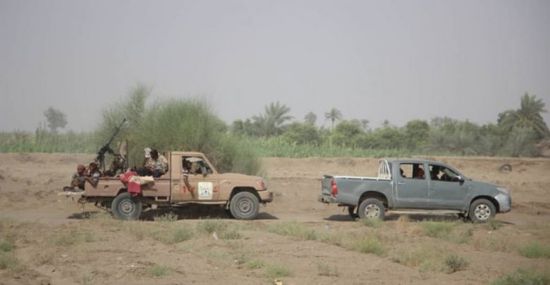 القوات المشتركة تخمد نيران مليشيا الحوثي في الدريهمي