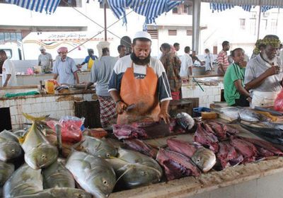 تقييد وصول شركات شراء الأسماك إلى حراج المكلا