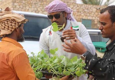 مبادرة من "خليفة الإنسانية" لتوزيع 3000 شتلة غرب سقطرى