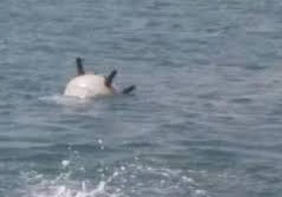 التحالف: تدمير لغم بحري حوثي في البحر الأحمر