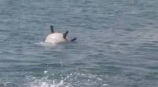 التحالف: تدمير لغم بحري حوثي في البحر الأحمر