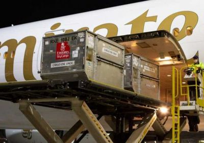  الإمارات تُحقق نجاحًا كبيرًا في نقل أول شحنة من لقاح "فايزر بيونتيك"