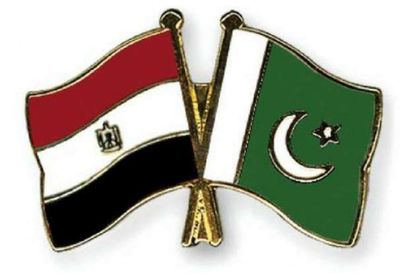 مصر وباكستان تناقشان تطورات الوضع في إقليم جامو وكشمير