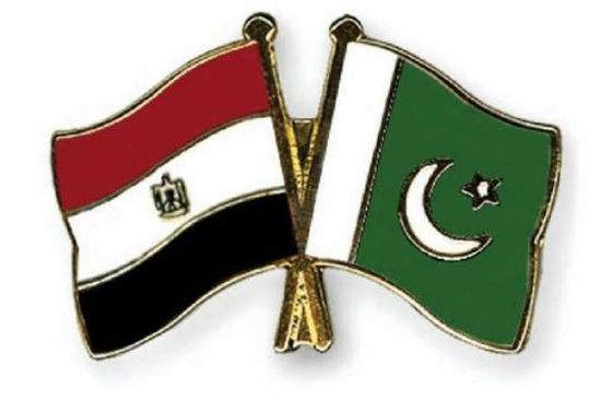 مصر وباكستان تناقشان تطورات الوضع في إقليم جامو وكشمير
