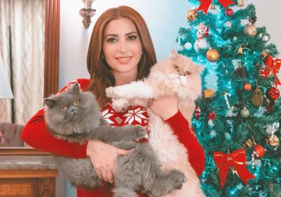 بصورة طريفة مع قطتيها.. نسرين طافش تحتفل بالكريسماس