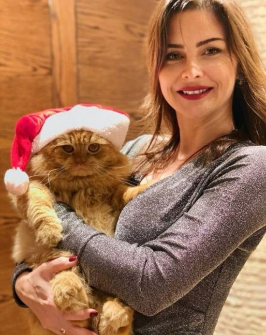 نور تهنئ جمهورها باحتفالات الكريسماس