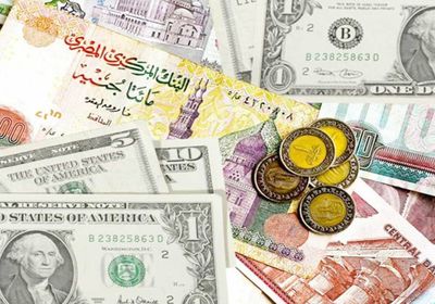  الدولار يسجل ‏15.65 جنيه على شاشات المركزي المصري ‏