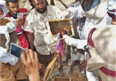 مساعدات نقدية من الصليب الأحمر لمربي النحل بلحج