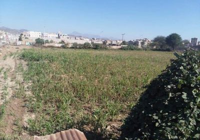 بمباركة الحوثيين.. تعدي على أرض المركز الثقافي بالقاعدة