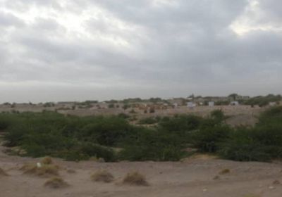 مليشيا الحوثي تنكل بسكان الجبلية عبر هجمات موسعة