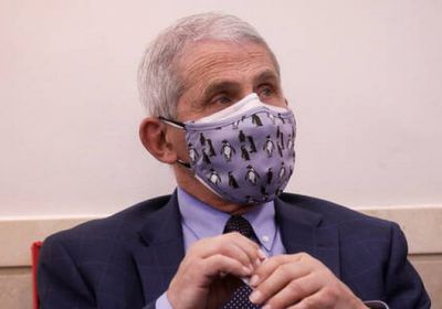  بعد زيادة شعبيته.. مدير المعهد الأمريكي للأمراض المعدية: لن أترشح لمنصب سياسي