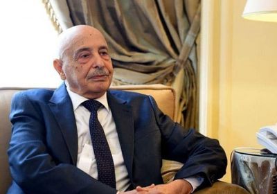  البرلمان الليبي يجدد التزامه بمخرجات برلين وإعلان القاهرة