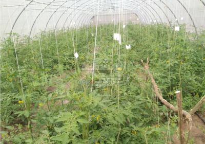 "أبحاث الكود".. نجاحات علمية تتحدى مافيا الفساد