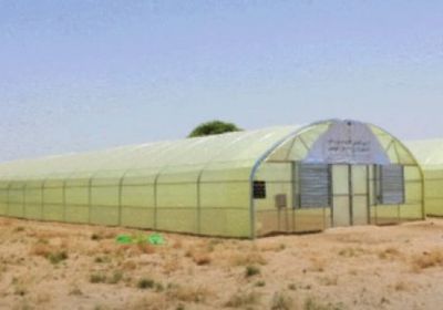 البرنامج السعودي يدعم المُزارعين ببيوت محمية