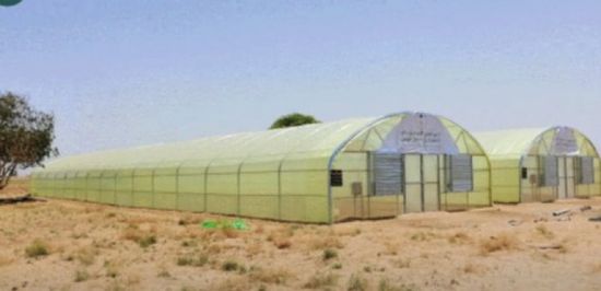 البرنامج السعودي يدعم المُزارعين ببيوت محمية
