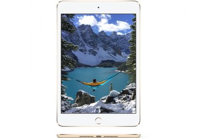 إزاحة الستار عن موعد إصدار "iPad mini"