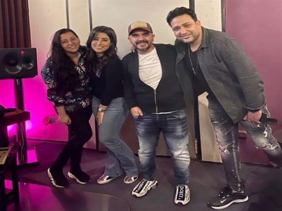 آيتن عامر تقتحم مجال الغناء (تفاصيل)