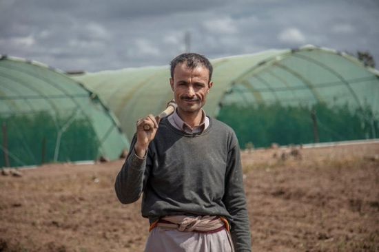 الإنمائي: تواصل الدعم المُقدم للمزارعين بالمحافظات