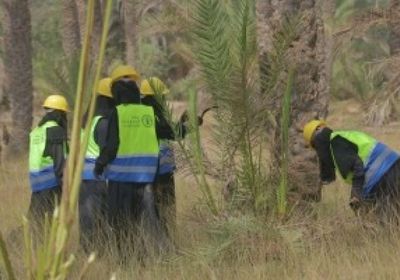 "فاو" تطور البنية التحتية الزراعية بحضرموت وأبين وذمار