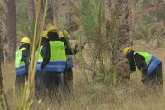 "فاو" تطور البنية التحتية الزراعية بحضرموت وأبين وذمار