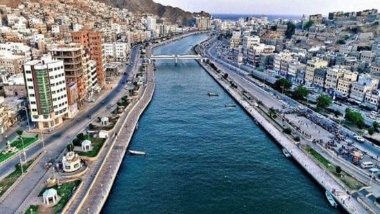 محاصرة ظاهرة إطلاق المواشي بشوارع المكلا