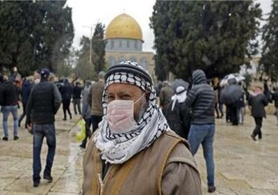 فلسطين تسجل 608 إصابات جديدة بكورونا