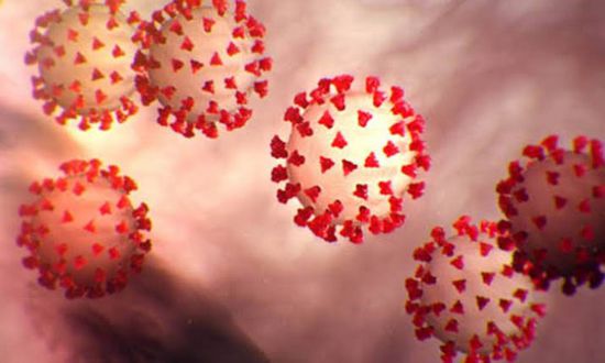 شفاء مصاب من كورونا بساحل حضرموت