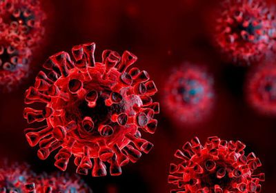 لجنة كورونا: شفاء حالة إصابة من الفيروس