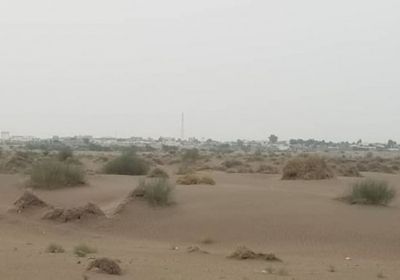 تصفية 6 حوثيين في كمين شرق التحيتا