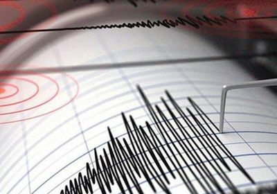 زلزال بقوة 4.7 يضرب محافظة كرمان بإيران