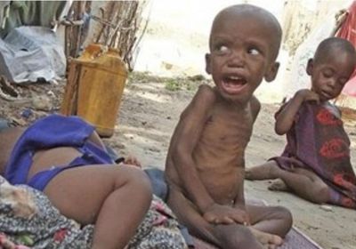 الولايات المتحدة: يجب إجراء الانتخابات الصومالية بشكل فوري